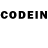 Codein Purple Drank Quercus Alba